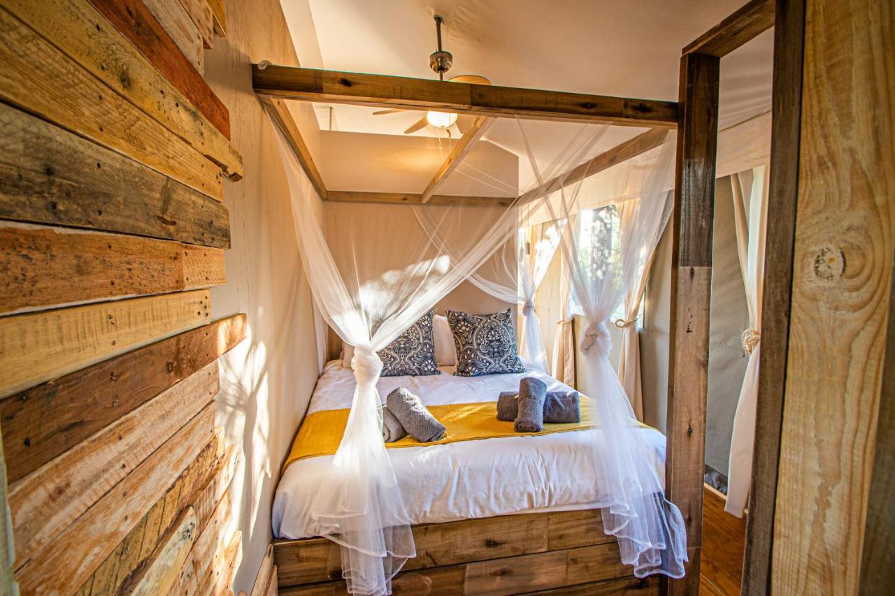 Mountain View Safari Lodge フッドスプルイト エクステリア 写真