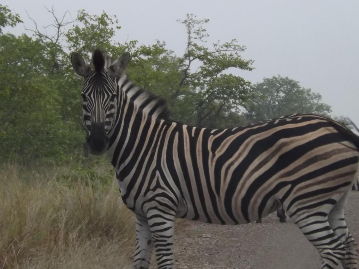 Mountain View Safari Lodge フッドスプルイト エクステリア 写真